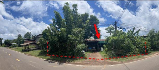 คำหว้า ตาลสุม อุบลราชธานี