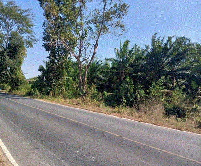 ที่ดินหลุดจำนอง ธ.ธนาคารกรุงเทพ โดมประดิษฐ์ น้ำยืน อุบลราชธานี