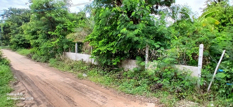 ที่ดินพร้อมสิ่งปลูกสร้าง (อื่น ๆ)หลุดจำนอง ธ.ธนาคารกรุงเทพ หัวนา เขมราฐ อุบลราชธานี